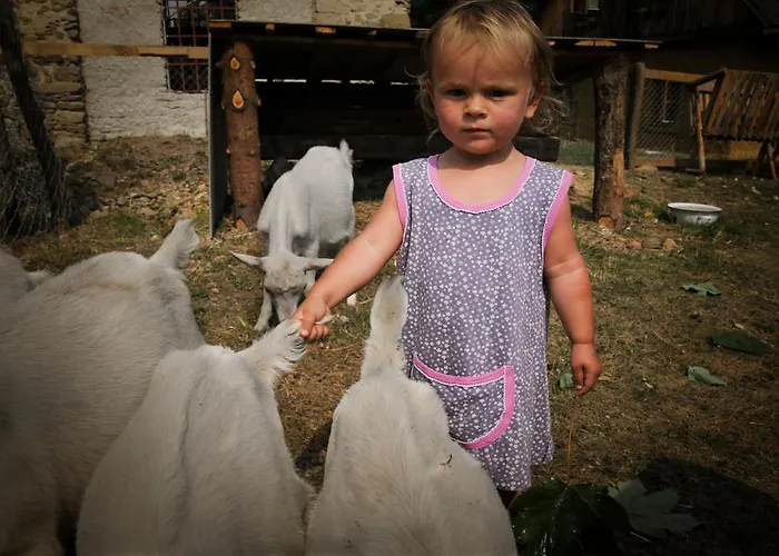 Pislikdum Farm stay